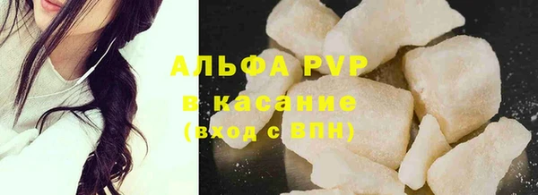 стафф Богородицк