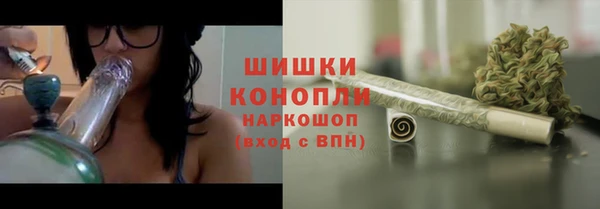 ГАЛЛЮЦИНОГЕННЫЕ ГРИБЫ Белокуриха