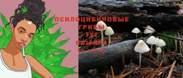 гидропоника Белоозёрский