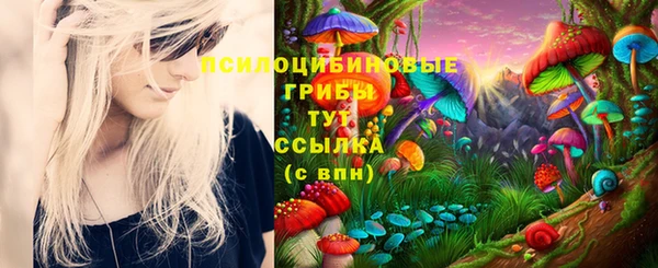 гидропоника Белоозёрский