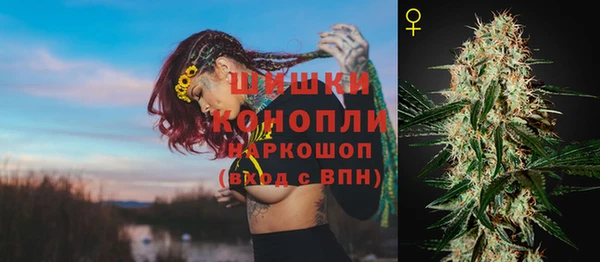 стафф Богородицк